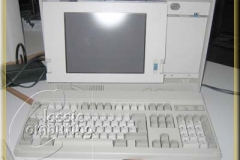 image00317