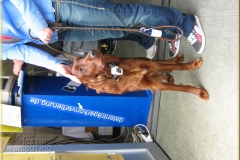 2011-032